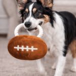 3und. ($2.480 c/u) - Juguete para Perros Peluche Balón con Cuerda - Imagen 2