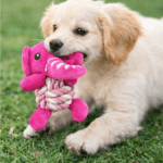 3und. ($2.990 c/u) - Peluche Interactivo para Perros con Nudo de Cuerda - Imagen 2