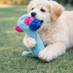 3und. ($3.380 c/u) - Juguete para Perro Peluche Largo - Imagen 2