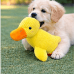 3und. ($7.190 c/u) - Juguete para Perro Peluche Pato Grande Suave - Imagen 2