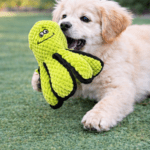 3und. ($5.030 c/u) - Juguete para Perro Pulpo de Peluche Texturizado - Imagen 2