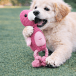 3und. ($6.290 c/u) - Juguete para Perro Peluche Ave con Cuerda - Imagen 2