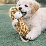 3und. ($4.340 c/u) - Juguete para Perro Peluche con Aro de Cuerda - Imagen 2