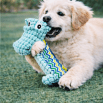 3und. ($3.590 c/u) - Juguete para Perro Peluche Cocodrilo Largo - Imagen 2