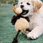 3und. ($3.980c/u) - Peluche para Perro Ave con Patas de Soga - Imagen 2