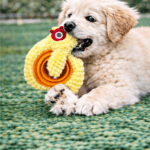 3und. ($7.130 c/u) - Juguete para Perro Peluche con Aro Dental - Imagen 2