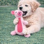 3und. ($1.580 c/u) - Juguete para Perro Peluche Animal Alargado - Imagen 2