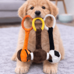 3und. ($2.030 c/u) - Juguete de Peluche Deportivo para Perros con Cuerda - Imagen 2