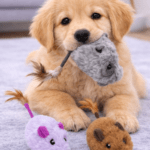 3und. ($1.580 c/u) - Juguete de Peluche Ratón para Gatos con Pluma - Imagen 2