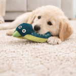 6und. ($1.010 c/u) - Peluche para Perros Tipo Anguila con Sonido - Imagen 2