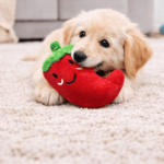 6und. ($830 c/u) - Peluche para Perros Ají - Imagen 2