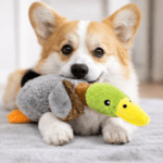 3und. ($3.230 c/u) - Peluche Pato Realista para Perros - Imagen 2