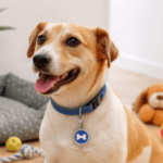 6 und.  x 2.220  ($370 c/u) Placa Identificadora para Mascotas con Gancho - Imagen 2