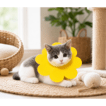 6 und. x 4.380  ($730 c/u) Isabelino Flor XS para Mascotas - Imagen 2