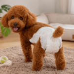 3 set x $10.080 ($3.360 c/set) Pañales Desechables para Hembra Talla "L" - Imagen 2