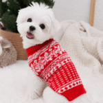 3 und. x $7.560 ($2.520 c/u) Suéter Tejido para Mascotas - Imagen 2