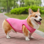 3 und. x 14.700 (4.900 c/u) Ropa Ligera para Mascotas - Imagen 2