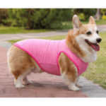 3 und. x 14.700 (4.900 c/u) Ropa para Mascotas - Imagen 2