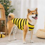 3 und. x $14.700 ($4.900 c/u) Disfraz Abejita para Mascotas - Imagen 2