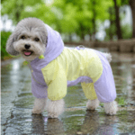 3und. x $16.530 ($5.510 c/u) Impermeable Enterizo para Mascotas - Imagen 2