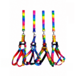3und. x $10.890 ($3.630 c/u) - Arnés Multicolor con Correa