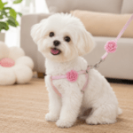 3und. x $5.490 ($1.830 c/u) - Arnés con Correa Decorativo - Imagen 2