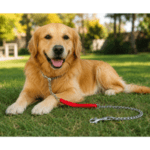 6und. x $6.120 ($1.020 c/u) - Cadena Metálica para Perros con Asa Reforzada - Imagen 2