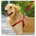 3und. x $10.890 ($3.630 c/u) - Arnés con Correa para Mascotas - Imagen 2