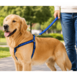 3und. $10.440 ($3.480 c/u) - Arnés con Correa para Mascotas - Imagen 2