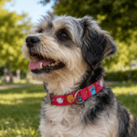6 und. x $4.500 ($750 c/u) - Collar Estampado para Mascotas - Imagen 2