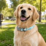 6 und. x $4.500 ($750 c/u) - Collar Camuflado para Mascotas - Imagen 2