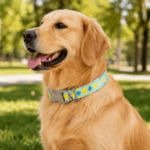 6 und. x $3.600 ($600 c/u) - Collar Ajustable para Mascotas - Imagen 2