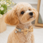 6 und. x $5.940 ($990 c/u) - Collar con Corbatín para Mascotas - Imagen 2