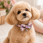 6 und. x $5.940 ($990 c/u) - Collar Floral con Corbatín y Cascabel para Mascotas - Imagen 2