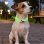 3 und. x $12.180 ($4.060 c/u) - Collar LED Luminoso para Mascotas - Imagen 2