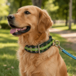 3 und. x $5.220 ($1.740 c/u) - Collar Reforzado para Mascotas - Imagen 2