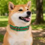 6 und. x $4.500 ($750 c/u) - Collar Ajustable para Mascotas - Imagen 2
