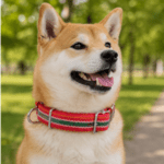 6 und. x $4.500 ($750 c/u) - Collar Ajustable para Mascotas - Imagen 2