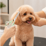 6 und. x $6.960 ($1.160 c/u) - Tijeras de Entresacar para Mascotas - Imagen 2