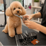 2 und. x $29.000 ($14.500 c/u) - Set Profesional de Tijeras para Mascotas - Imagen 2