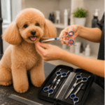 2 und. x $23.200 ($11.600 c/u) - Set Profesional de Tijeras para Mascotas - Imagen 2