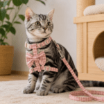 3 und. x $6.090 ($2.030 c/u) - Correa + Arnés para Gatos con Diseño - Imagen 2