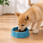 6und. x $3.600 ($600 c/u) - Plato para Mascotas Diseño Flor - Imagen 2