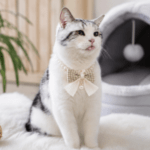 3und. x $5.220 ($1.740 c/u) - Collar Elegante para Mascotas con Perlas y Lazo - Imagen 2