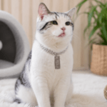 3und. x $6.090 ($2.030 c/u) - Collar Metálico para Mascotas con Colgante - Imagen 2