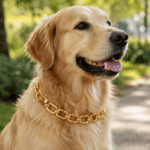 3und. x $5.670 ($1.890 c/u) - Collar Metálico Dorado de Eslabones para Mascotas - Imagen 2