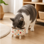 3und. x $5.220 ($1.740 c/u) - Plato Elevado para Mascotas con Diseño - Imagen 2
