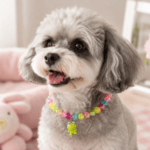 6und. x $8.700 ($1.450 c/u) - Collar Decorativo de Cuentas para Mascotas - Imagen 2