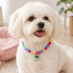 6und. x $8.700 ($1.450 c/u) - Collar Decorativo Multicolor para Mascotas con Dije - Imagen 2