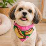 3und. x $6.540 ($2.180 c/u) - Collar Pañoleta para Mascotas - Imagen 2